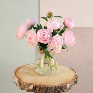 Bouquet de pivoines