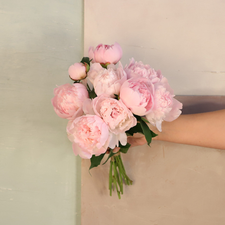 Bouquet de pivoines
