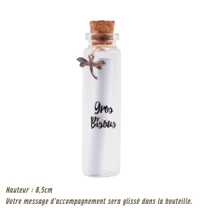Bouteille message "Gros...