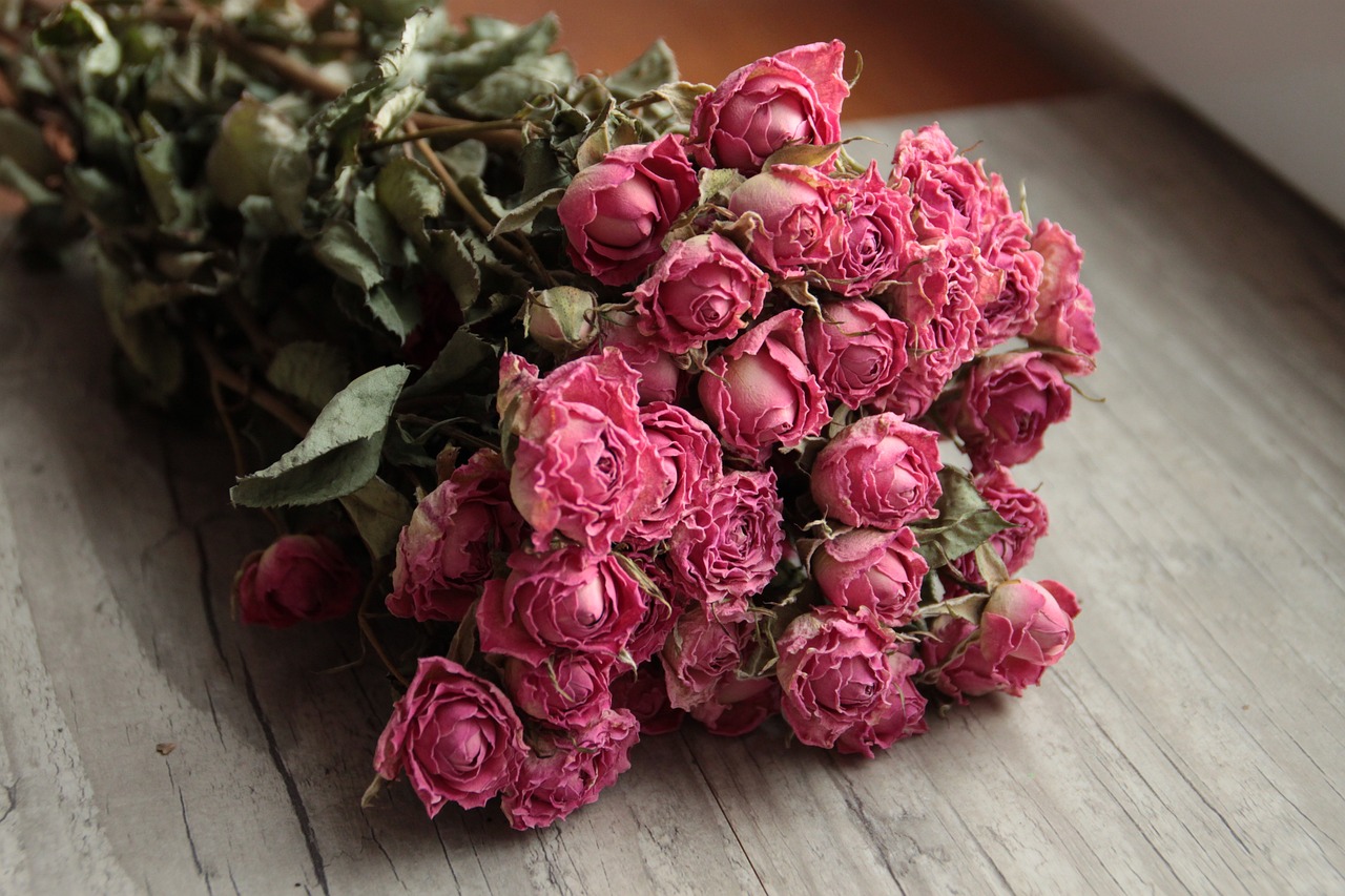 Roses séchées Carrément Fleurs Astuces Carrément Fleurs pour faire sécher une rose