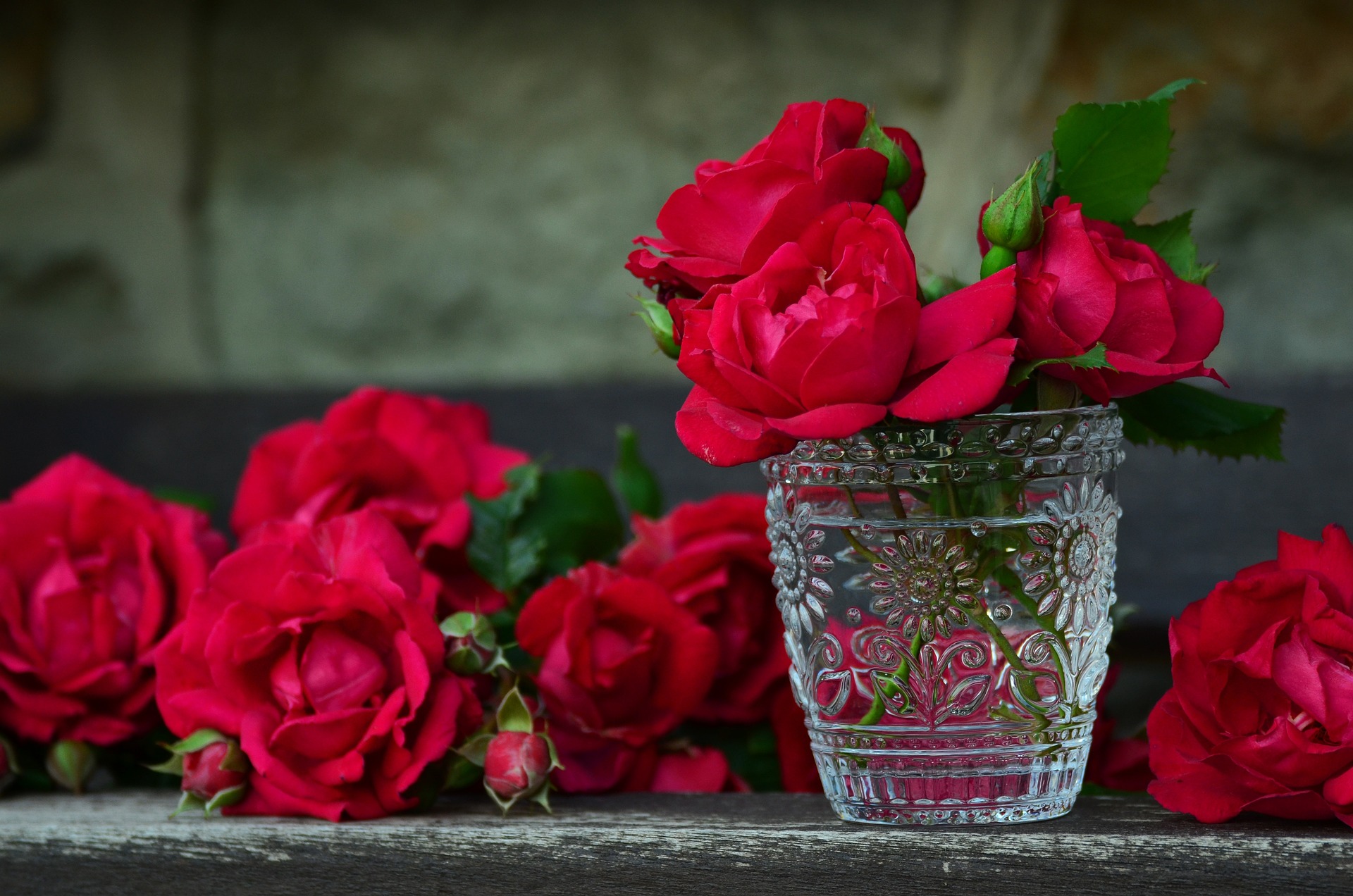 Bouquet de roses fraîches