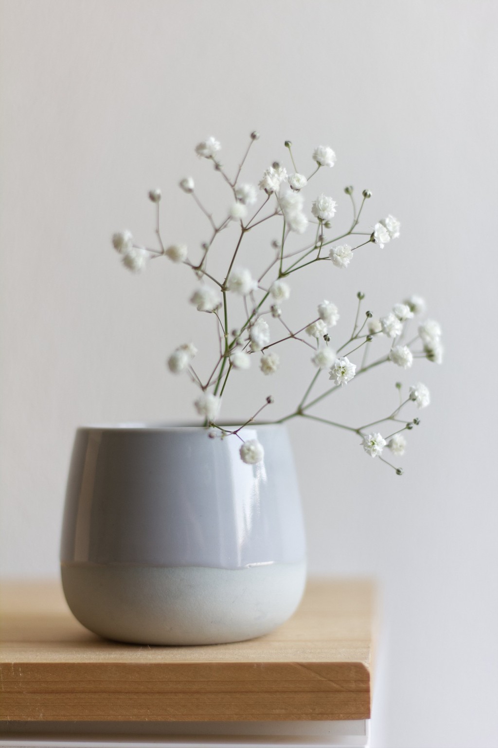 La Gypsophile