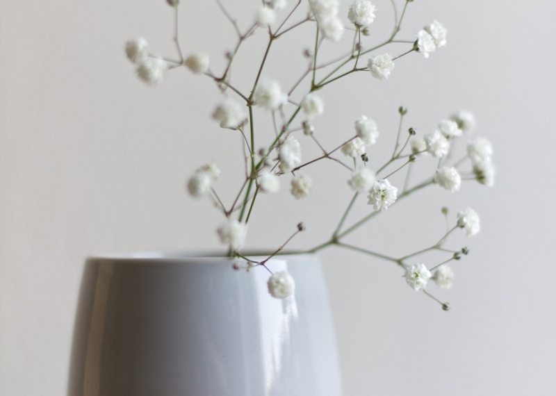 La Gypsophile