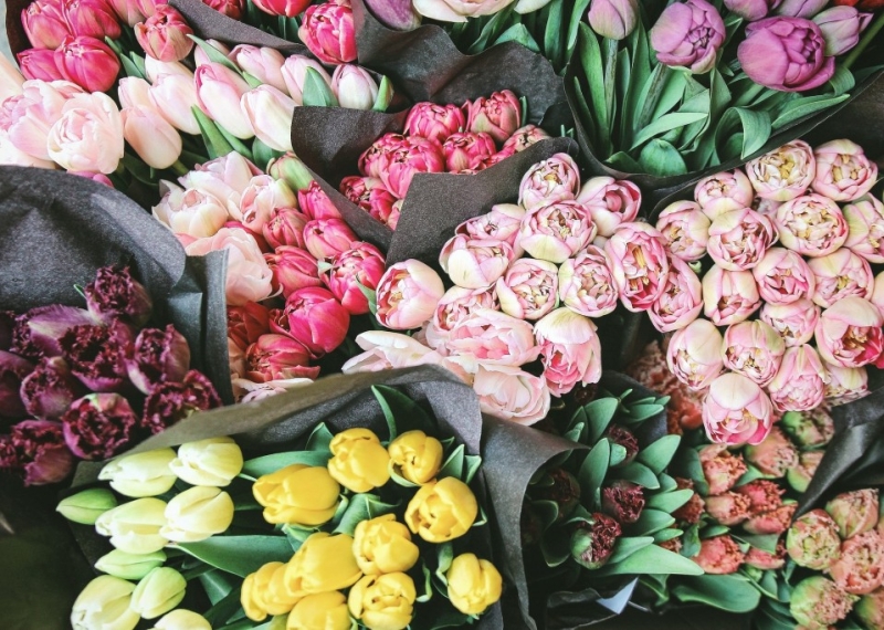 Quelles fleurs offrir pour la fête des grands-mères ?