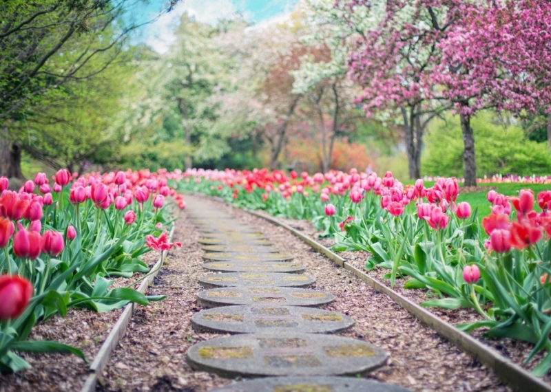 Que planter au printemps ? 