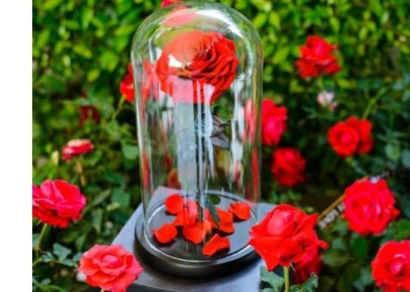 DIY - Comment faire des roses éternelles ?