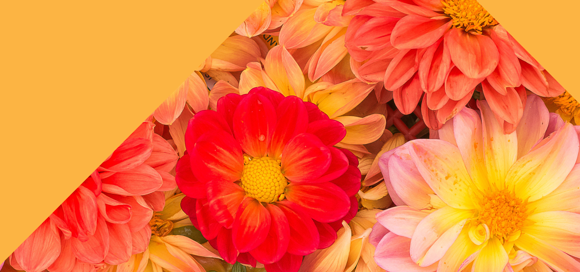 Carrement-Fleurs-bouquets-Paques