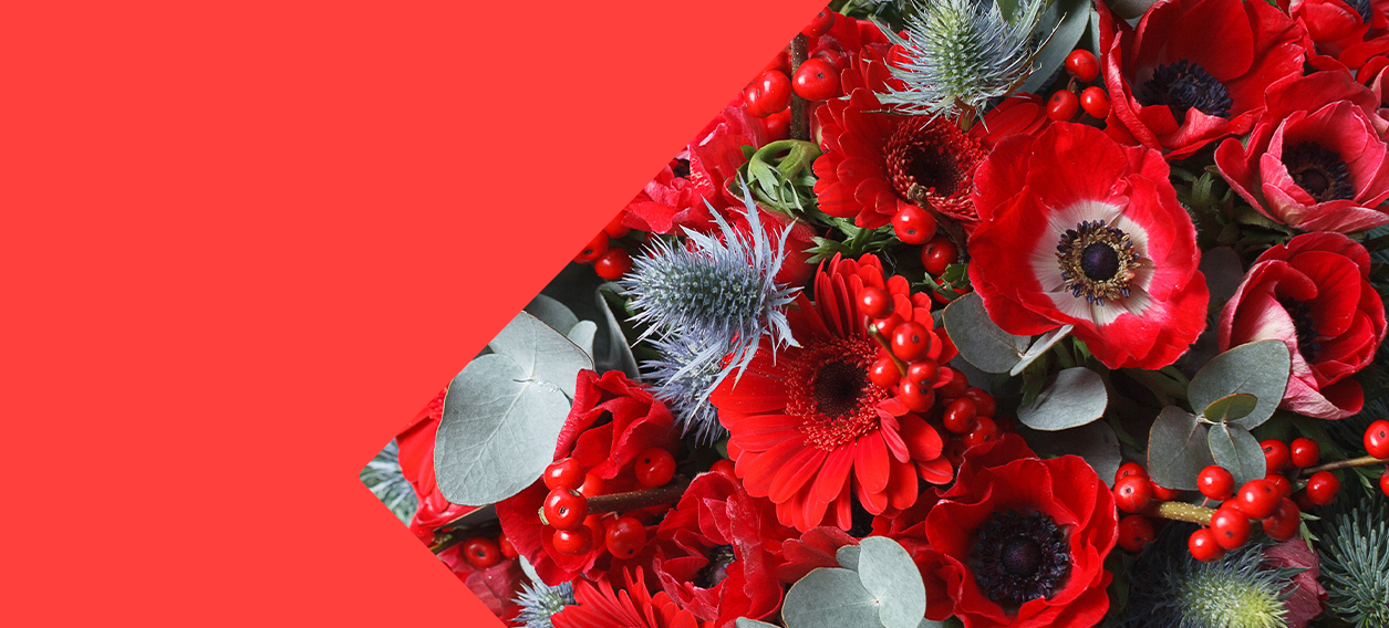 Collection Noël Carrement-Fleurs-noel