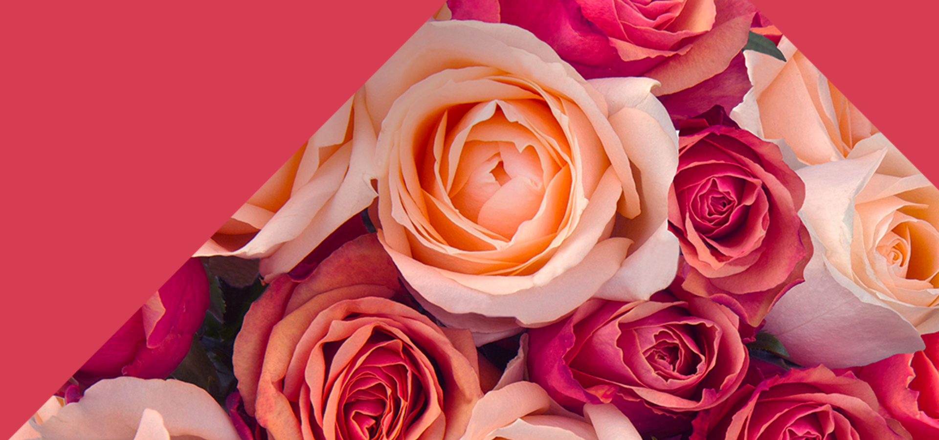 Carrement-Fleurs-35-roses