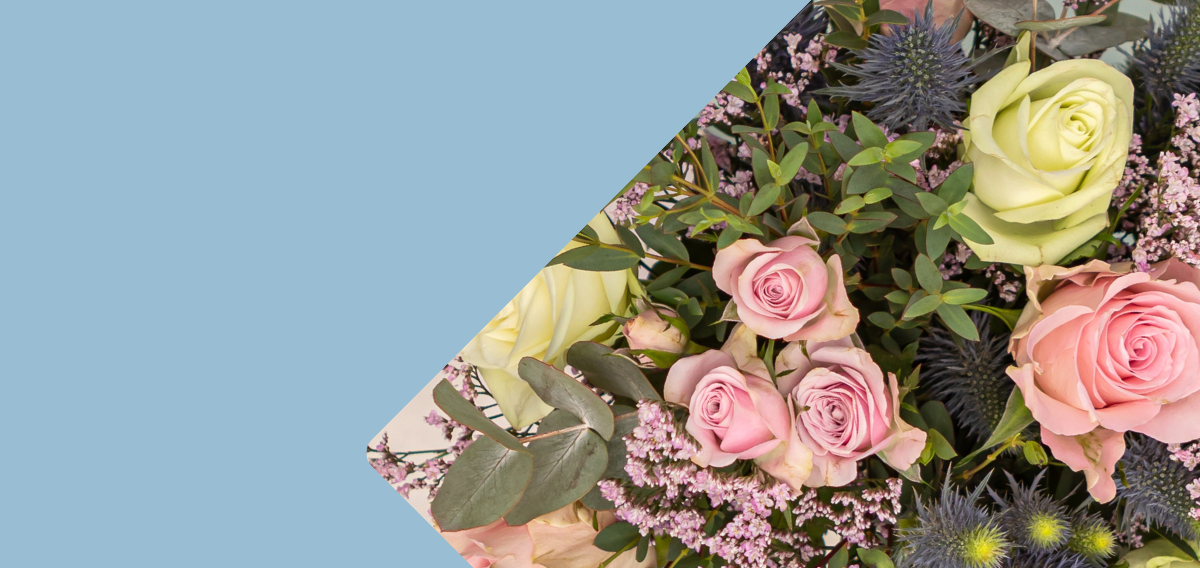 Carrement-fleurs-hiver