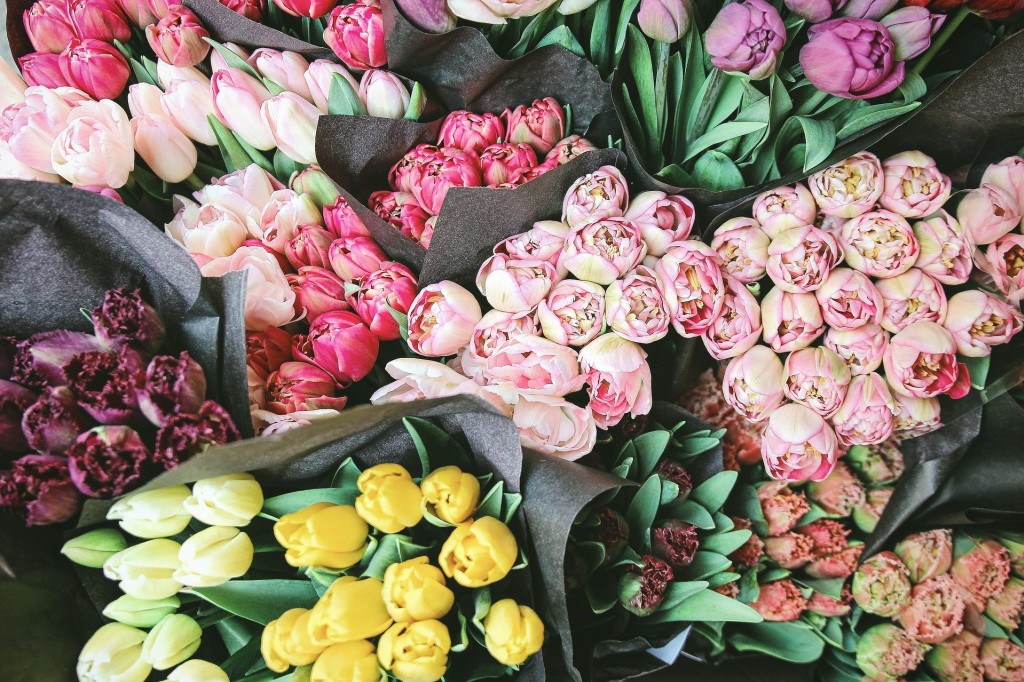 Quelles fleurs offrir pour la fête des grands-mères ?