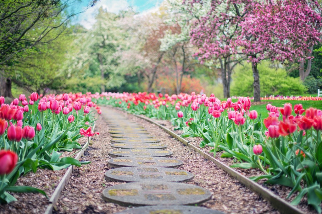 Que planter au printemps ? 