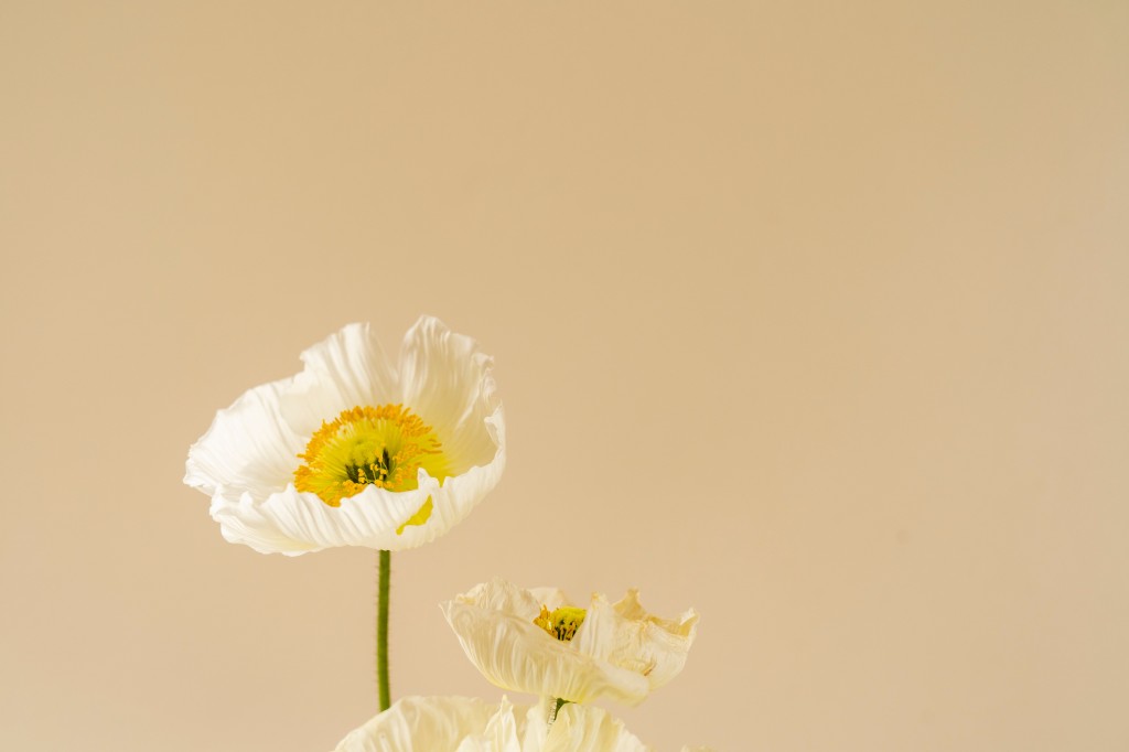 Au secours ! Mon vêtement est tâchée par des fleurs