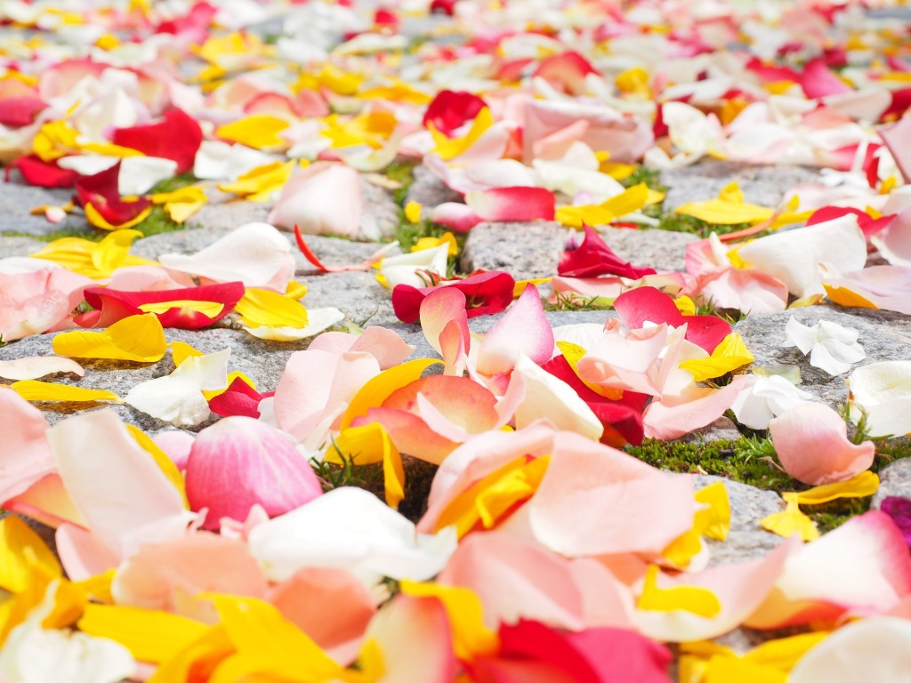 DIY : que faire avec des pétales de roses ?