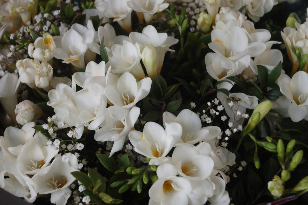 Avec quelles fleurs dire merci ?