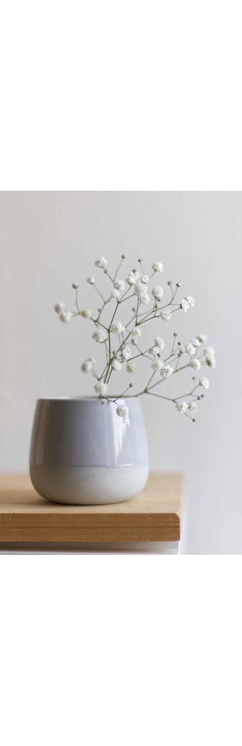 La Gypsophile