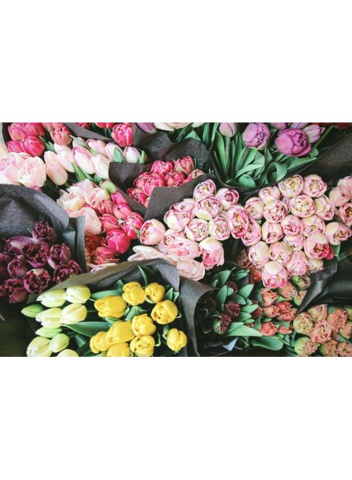 Quelles fleurs offrir pour la fête des grands-mères ?