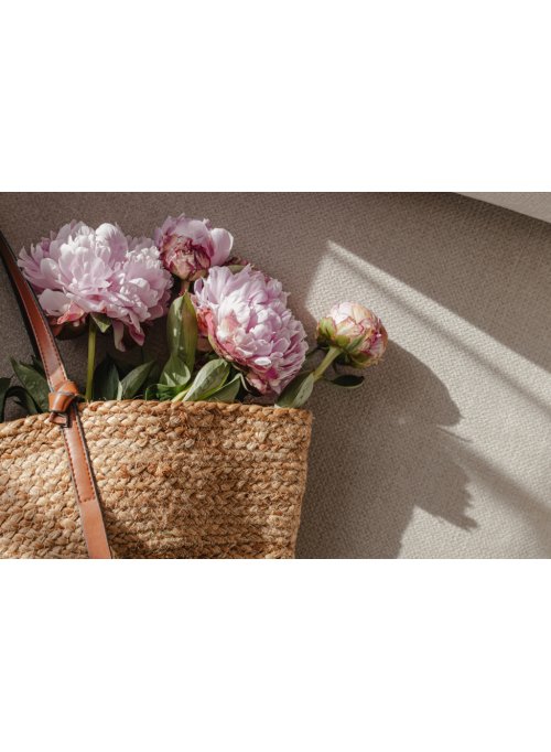 Les origines de la pivoine