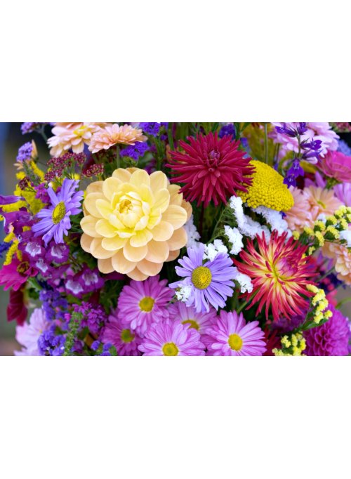 Quelles fleurs offrir à un homme et pour quelle occasion ? 