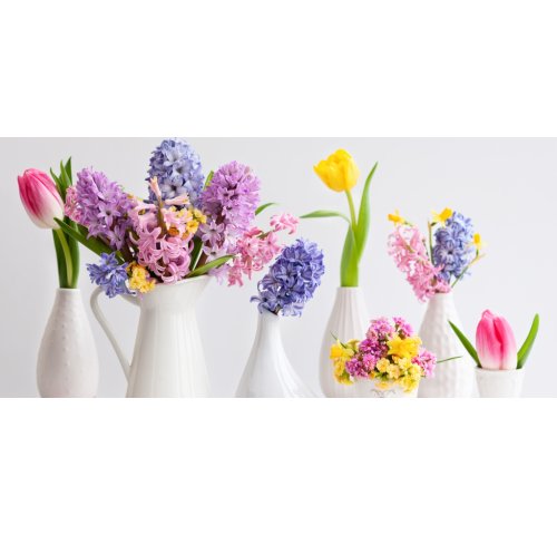 Fleurs de printemps : guide des fleurs et idées de bouquets