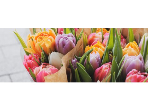 Bouquet original : 5 alternatives à la rose rouge pour surprendre votre moitié à