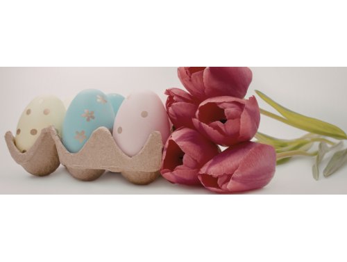 Quelles sont les fleurs à offrir à Pâques ?