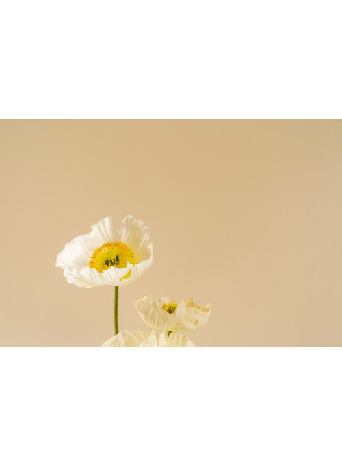 Au secours ! Mon vêtement est tâchée par des fleurs