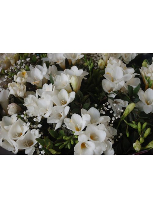 Avec quelles fleurs dire merci ?